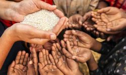 इजरायली नाकाबन्दीका कारण गाजामा खाद्य संकट