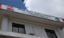 कांग्रेसले गर्‍यो पाँच बागी उम्मेदवारलाई कारबाही