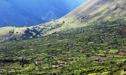 बागलुङको निसेलढोर: उम्मेदवार अझै भोट माग्न पुगेका छैनन्