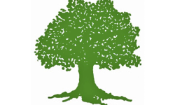 सुर्खेत १ (१) मा कांग्रेसका पोखरेल विजयी