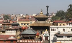 पशुपति क्षेत्रमा ठड्याइयो गुह्येश्वरी जात्राको लिङ्गो