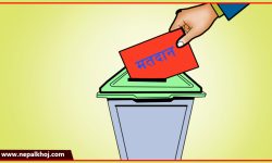 चितवन क्षेत्र नं २ मा थपिए मतदाता