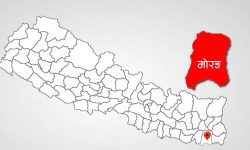 मोरङ निर्वाचनका गतिविधि तीव्र