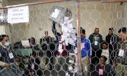 यस्ताे छ कैलाली निर्वाचन अपडेट