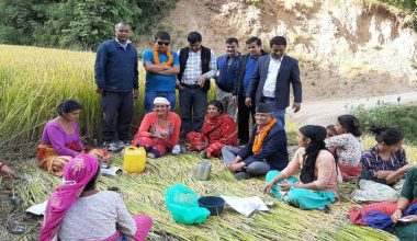 उम्मेदवार प्रचारमा, मतदाता खेतमा