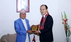 प्रमुख आयुक्त र जापानी राजदूतबीच भेटवार्ता