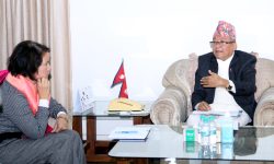 प्रमुख आयुक्तसँग युरोपियन युनियनका राजदूतको शिष्टाचार भेट