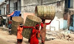 अन्न राख्न भकारी घरतर्फ लैजाँदै महिला !