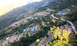 रानीवास गाउँ