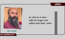 भोट भने‍को भोट हो महोदय !