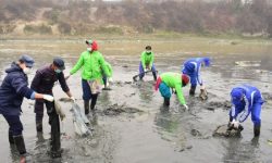 ‘राष्ट्रका लागि हप्ताको दुई घण्टा स्वयंसेवा’ नाराका साथ पशुपति क्षेत्रमा सफाइ