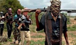 बन्दुक आक्रमणमा नाइजेरियामा १५ जनाको मृत्यु