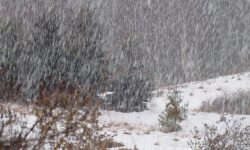 देशका ४ प्रदेशमा हल्का वर्षा र हिमपातकाे सम्भावना