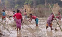 बोटे समुदाय भन्छन् : लालपुर्जा दिनेलाई भोट