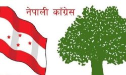 तनहुँमा समानुपातिकतर्फ काङ्ग्रेस पहिलो