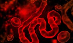 इबोला प्रकोपको नियन्त्रण गर्न देशहरुलाई आर्थिक अभाव