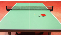 विश्व टेबलटेनिसको दक्षिण एसियाली छनोट नेपालमा हुने