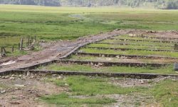 खुल्याे काठमाडौं महानगरपालिका भित्रको जग्गाको कित्ताकाट