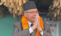 घरदैलोमा व्यस्त झलनाथ !