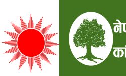 काठमाडौं-४ः प्रदेशसभा १ मा कांग्रेसका लामिछाने र २ मा एमालेका थापा विजयी