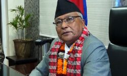 काठमाडौं-९ मा एमालेका कृष्णगोपाल श्रेष्ठ निर्वाचित