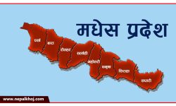 मधेस प्रदेशमा कांग्रेस अगाडि