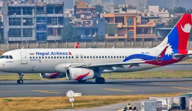 नेपाल एयलाइन्सको आन्तरिक उडान ठप्प