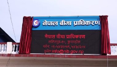 लघु बीमा व्यवसाय सञ्चालन गर्न सात कम्पनी छनोट
