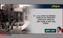 २०१५ को पहिलो आम निर्वाचन