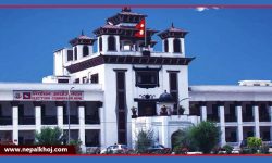 निर्वाचनको स्थिर समय : राजनीतिक गतिविधि ठप्प