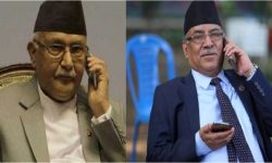 अध्यक्ष ओली र दाहालबीच बधाई आदानप्रदान