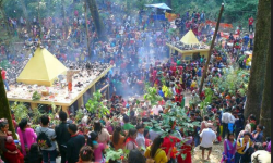 पाल्पामा चिच्याएर वर माग्ने मेला लाग्दै