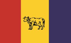 कपिलवस्तु-३ (२) मा राप्रपा विजयी