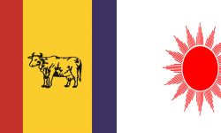 चितवन २(१)मा एमाले र ३ (१)मा राप्रपा विजयी