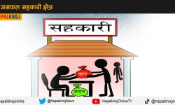 किन असफल भइरहेको छ सहकारी क्षेत्र ?