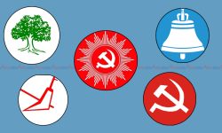 समानुपातिक तर्फ कसको मत कति ?