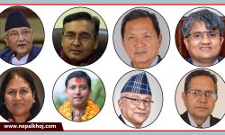 संसदमा एमालेका सारथीहरु