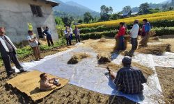 मेलापातमा भोट माग्दै उम्मेदवार