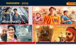 फ्लासब्याक-२०२२: ठूला बजेटका फ्लप फिल्म