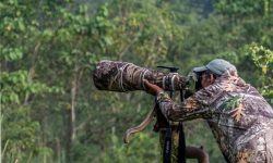 चुङवा शेर्पाको वाइल्डलाइफ फोटोग्राफी (फोटो फिचर)