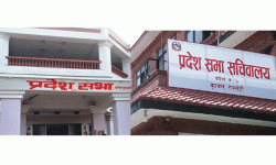 प्रदेशसभाको समानुपातिकतर्फ मधेस र लुम्बिनीमा १०–१० दलको प्रतिनिधित्व