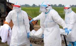 भिन्नभिन्न विधिका कारण कोभिडजन्य मृत्युको सङ्ख्या अस्पष्ट