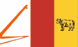 राप्रपाबाट समानुपातिकतर्फ छानिएका सांसद (नामसहित)