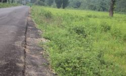 लोकाहा औद्योगिक क्षेत्र चर्चामै सीमित