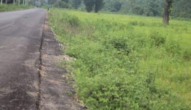 लोकाहा औद्योगिक क्षेत्र चर्चामै सीमित