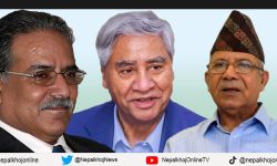 भावी प्रधानमन्त्री, राष्ट्रपति, सभामुख सबै पदको प्याकेज गृहकार्यमा सत्ता गठबन्धन