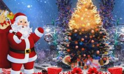 आज क्रिसमसको सार्वजनिक विदा