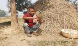 प्लास्टिकले खोस्यो परम्परा