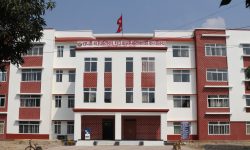 ‘सेवाग्राहीलाई झर्केर होइन, सम्मान गरेर बोल्नुपर्छ’