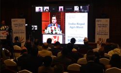 कोदोखेती प्रबर्द्धनका लागि ‘इन्टरनेशनल इयर अफ मिलेट्स-२०२३’